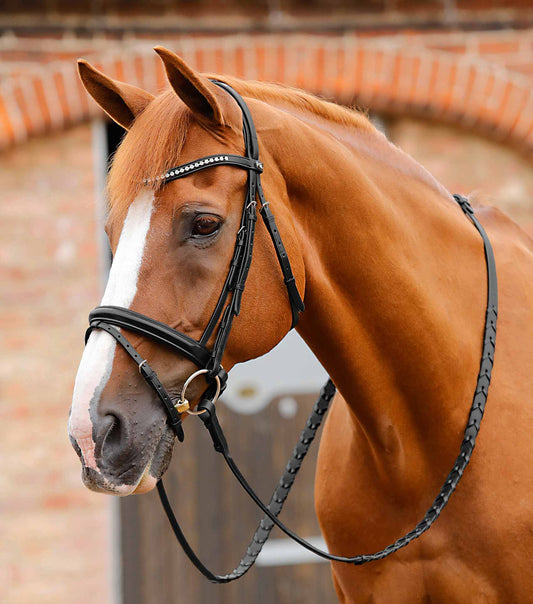 Bellissima Bridle with Rhinestone Browband - Premier Equine