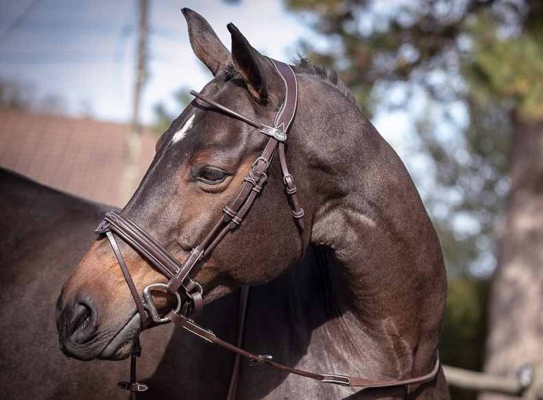 Bridon Friday, Collection week - Jump'in