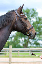 Bridon Hopper - TDET