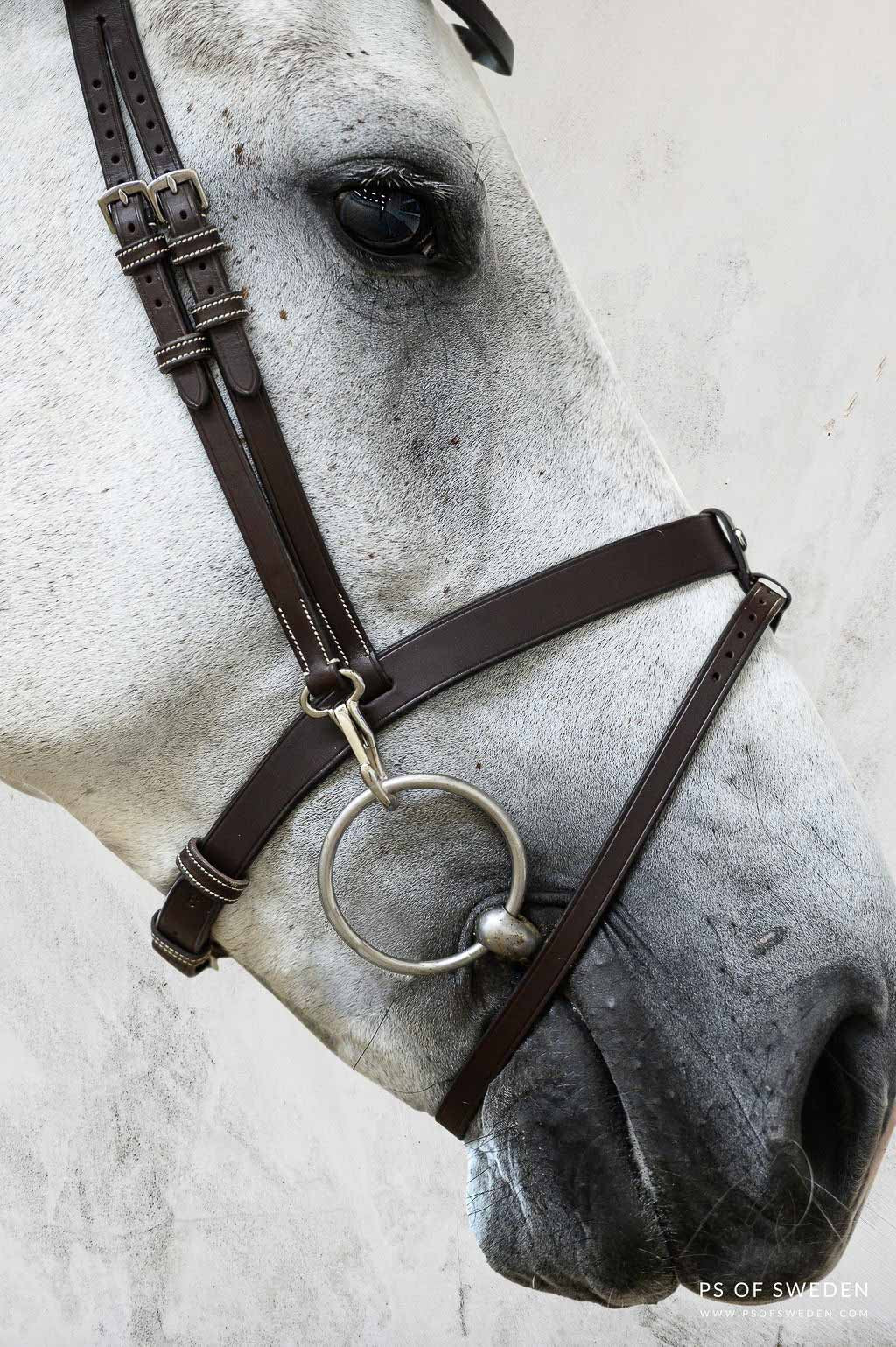 Bridle London - PS von Schweden