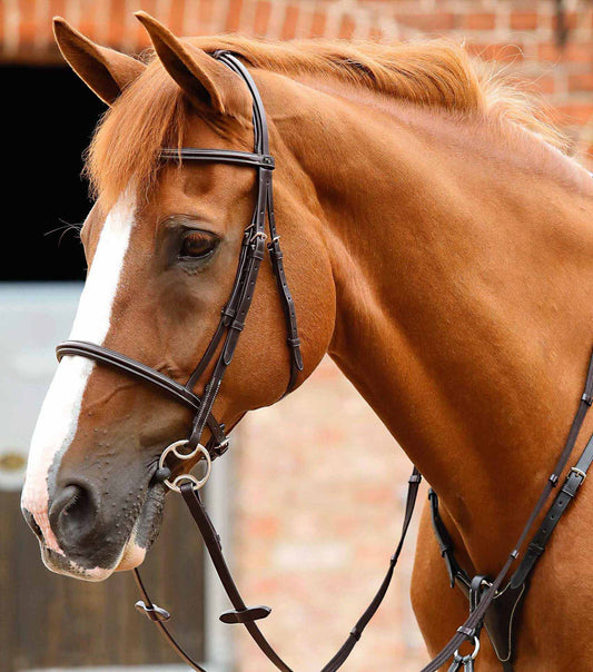 Mossimo Bridle, Brown - Premier Equine