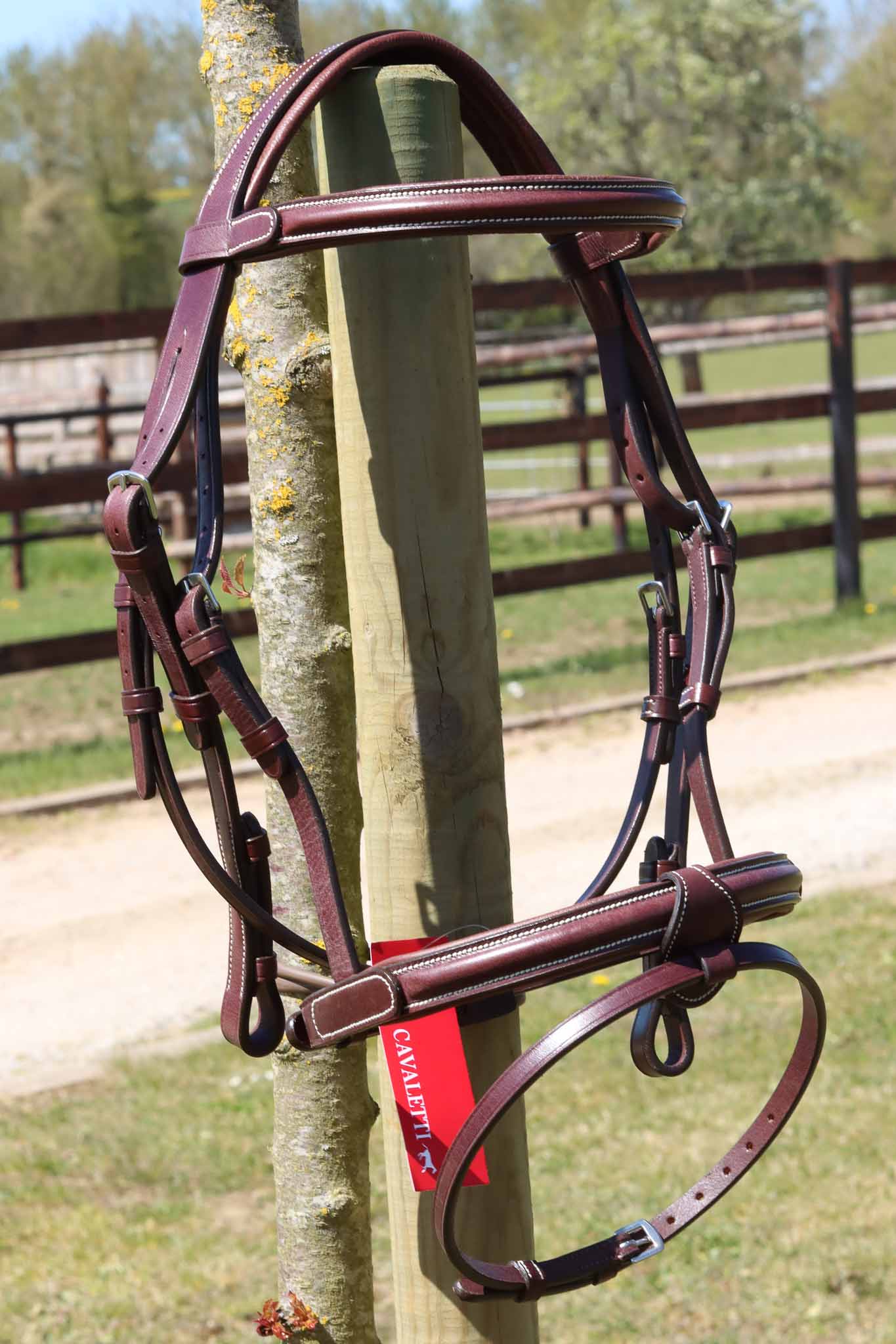 Bridle New Classic - Cavaletti