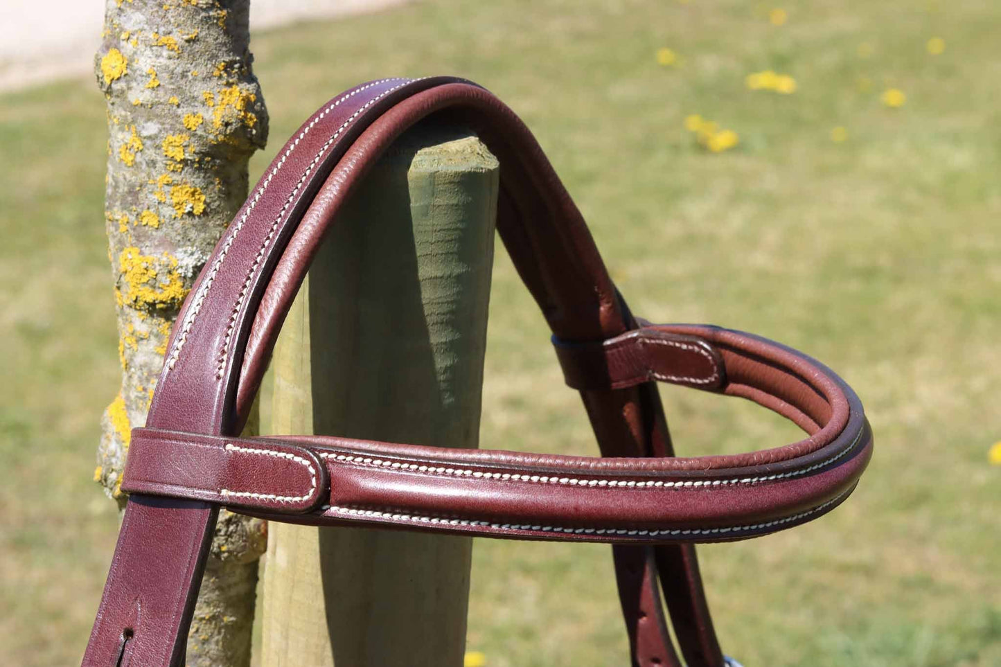 Bridle New Classic - Cavaletti