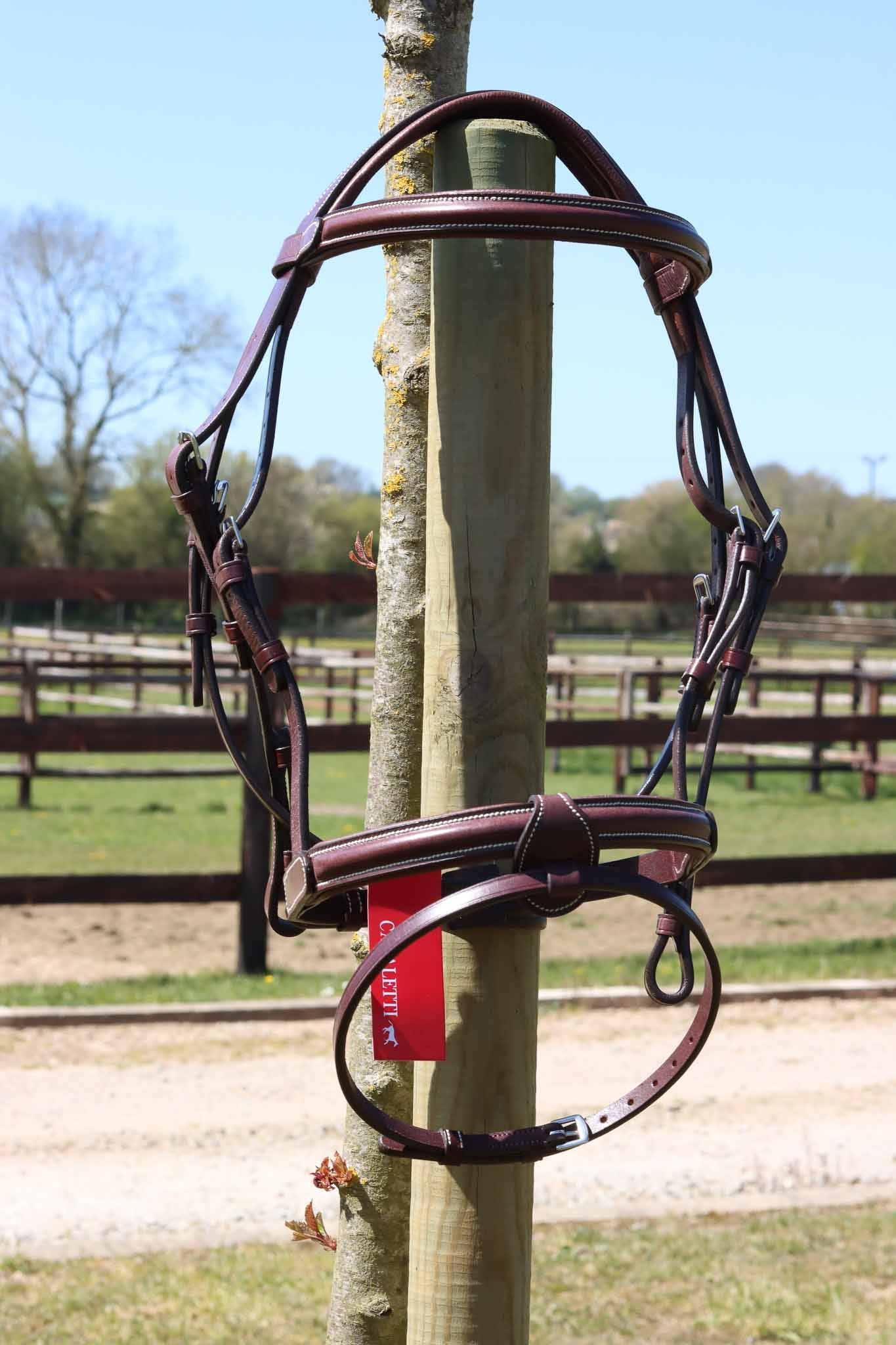 Bridle New Classic - Cavaletti