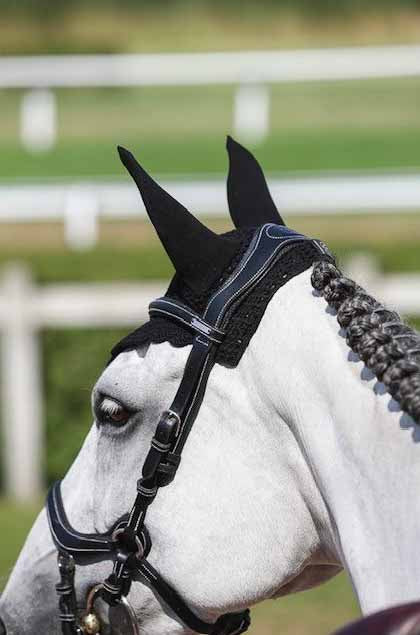 Bridle New York, Collection One - Jump'In – Crin d'élégance Sellerie