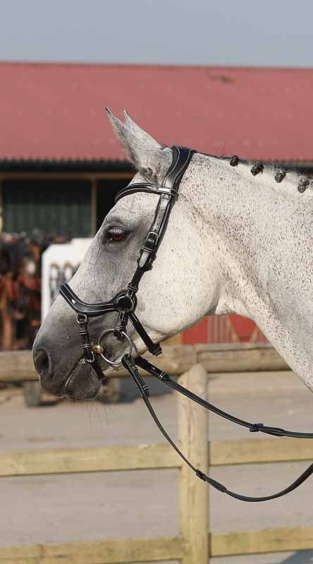 Bridon New York , Collection One - Jump'In