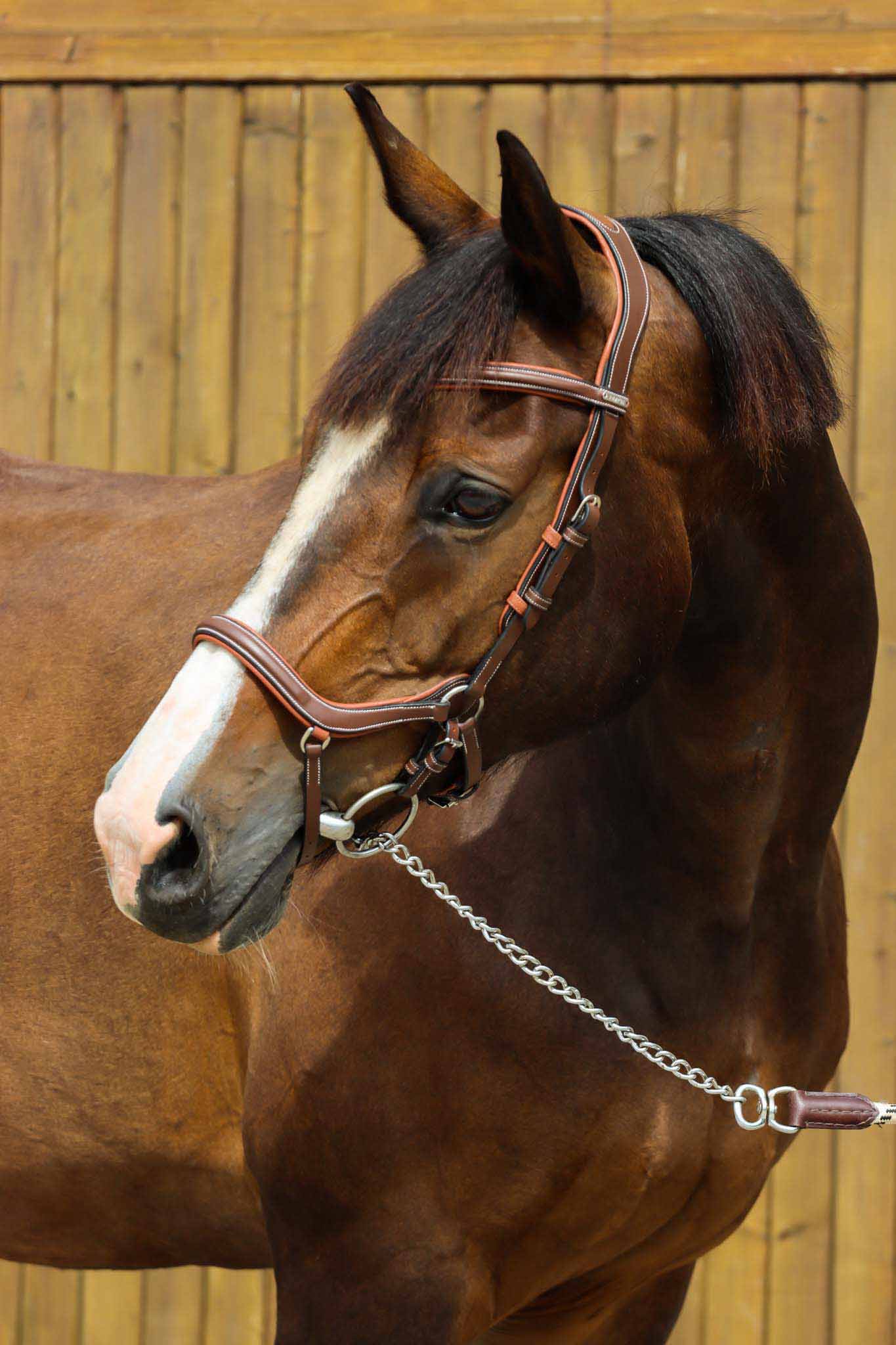 Bridon New York , Collection One - Jump'In