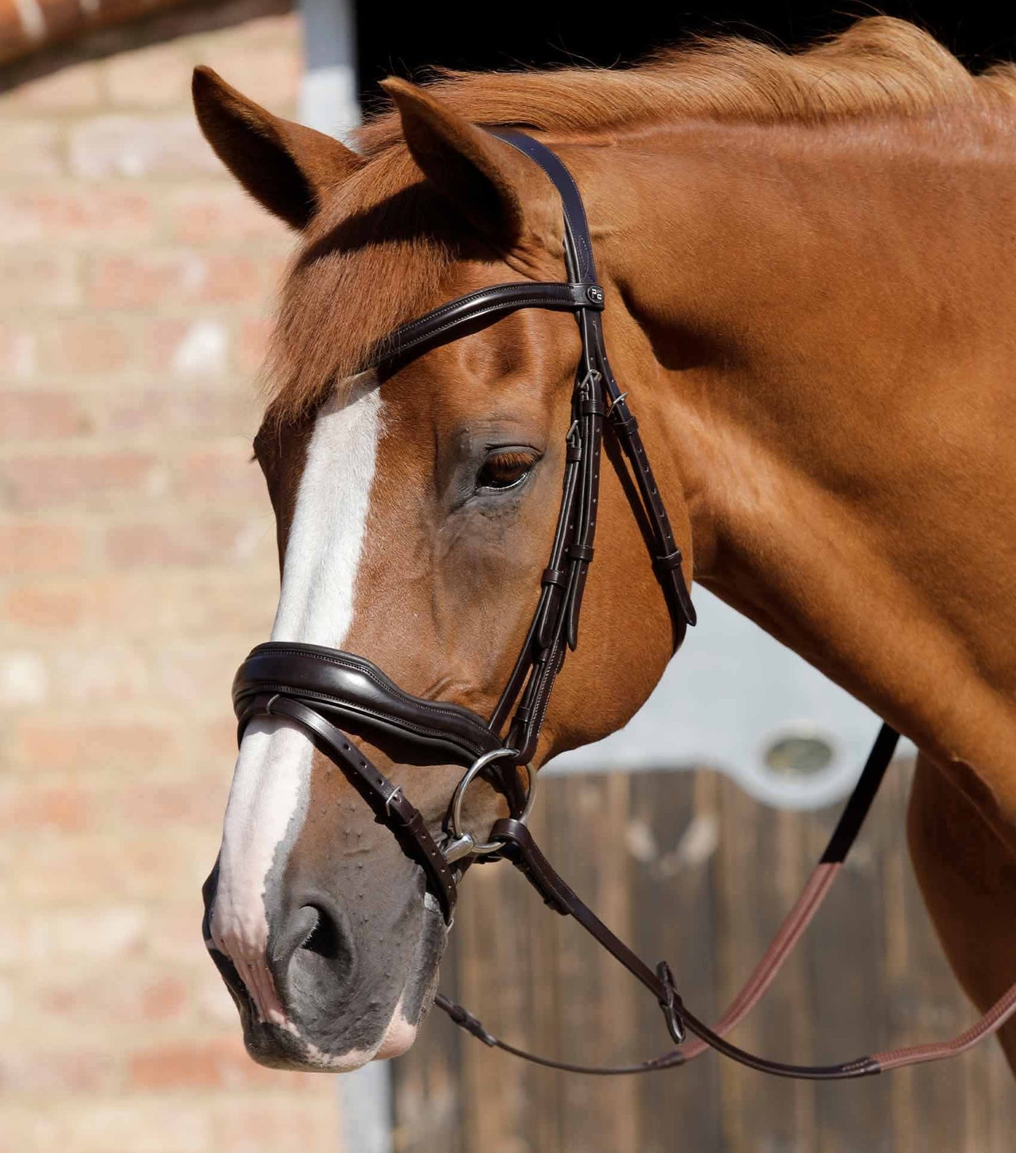 Bridon Rizzo Anatomique - Premier Equine