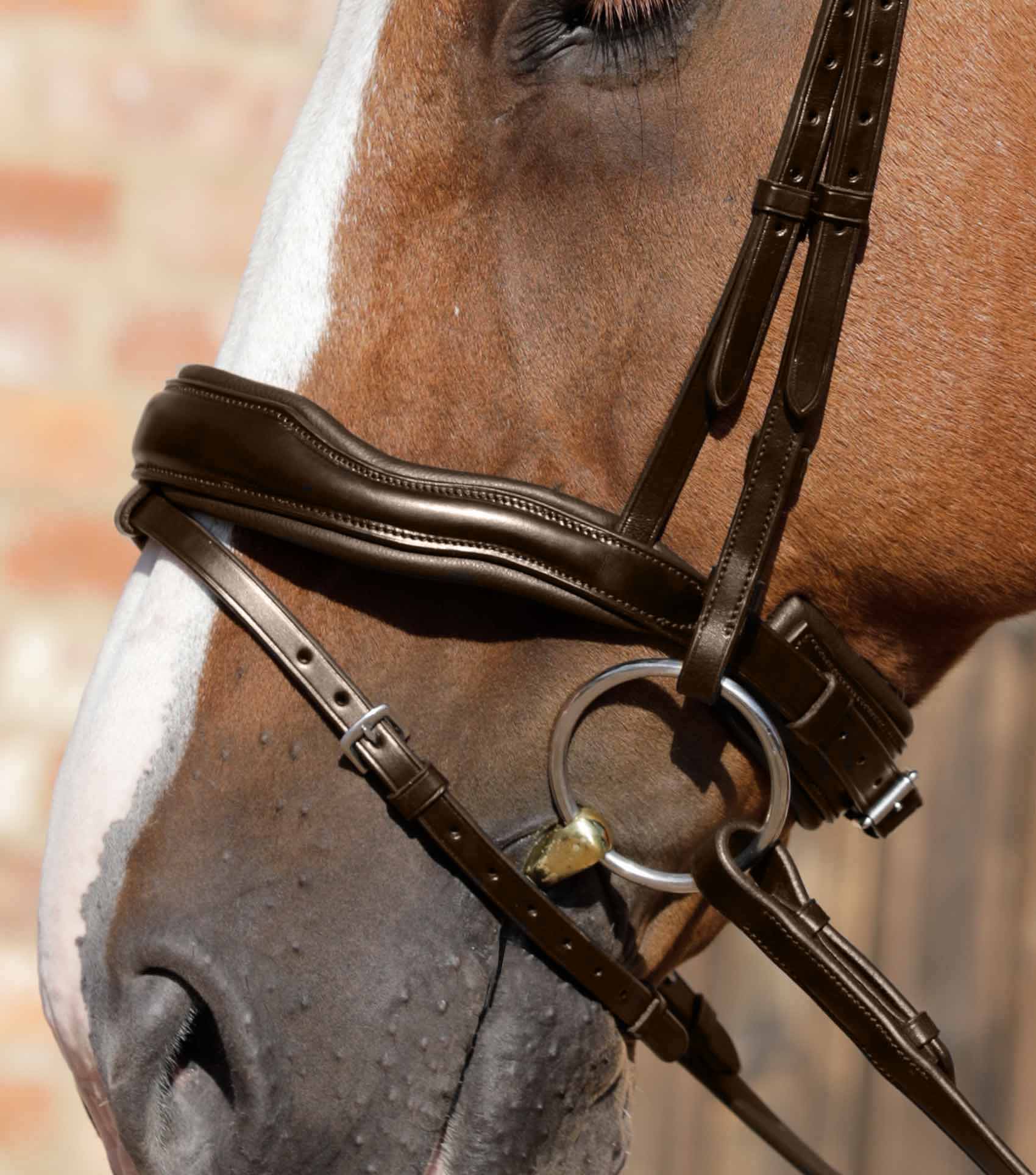 Trense Rizzo Anatomic - Premier Equine