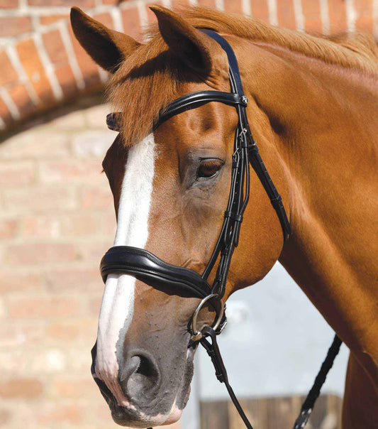 Verdura Anatomic Bridle - Premier Equine