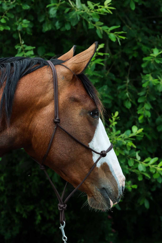 Ethological Headcollar, Brown - Brockamp