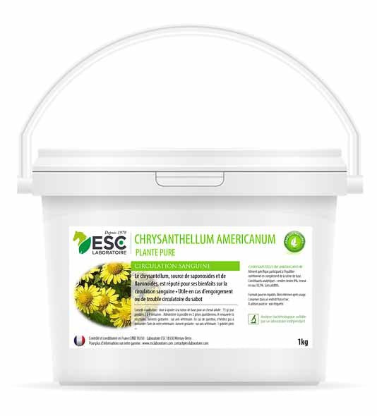 Chrysantellum Americanum, Pferdestau - ESC Laboratoire