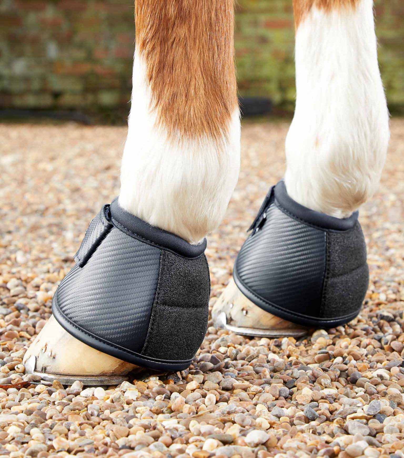 Carbon Tech Kevlar Hufglocken - Premier Equine