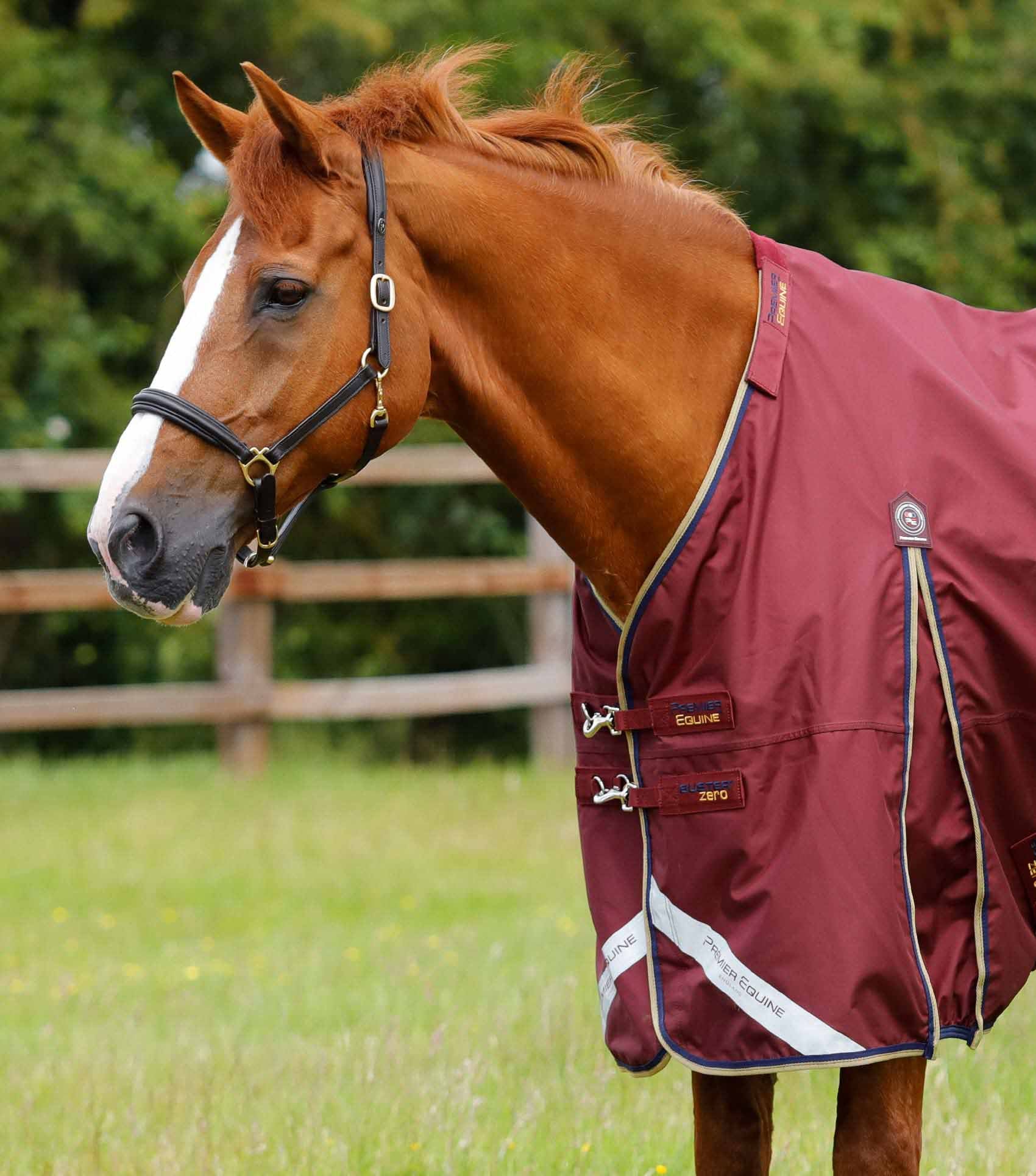 Couverture imperméable, Buster 0gr - Premier Equine