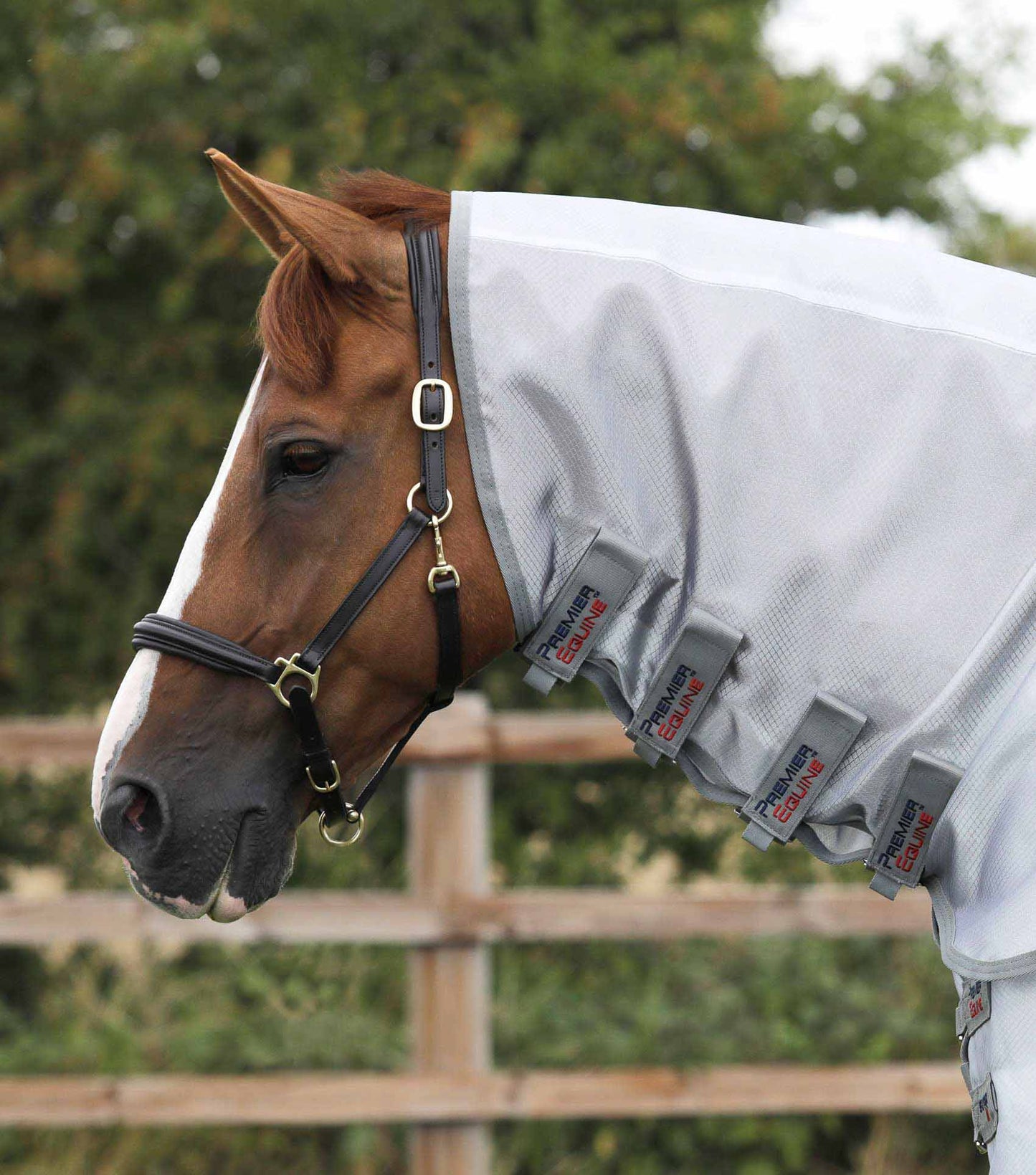 Couverture anti-mouches Super Lite - Premier Equine