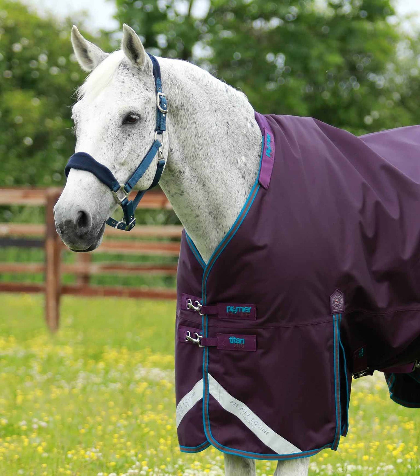 Couverture imperméable, Titan 200gr Purple, cou amovible - Premier Equine