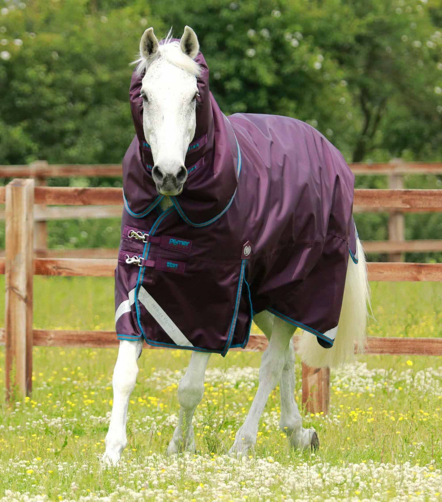 Couverture imperméable, Titan 200gr Purple, cou amovible - Premier Equine