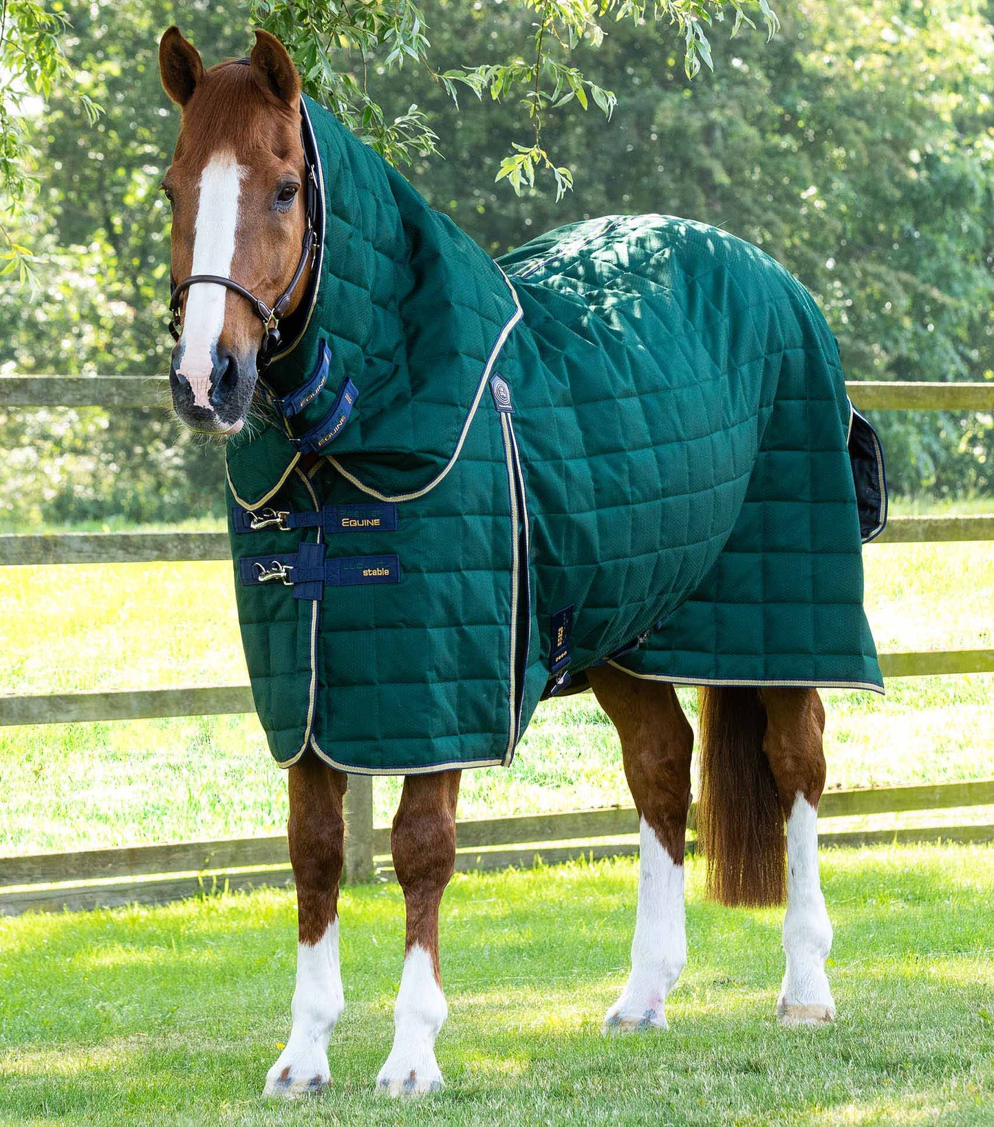 Lucanta Stalldecke &amp; Nackendecke, 200 g – Premier Equine