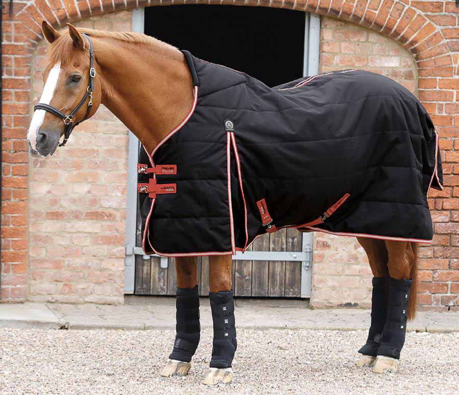 Couverture de box Lucanta, 200gr - Premier Equine