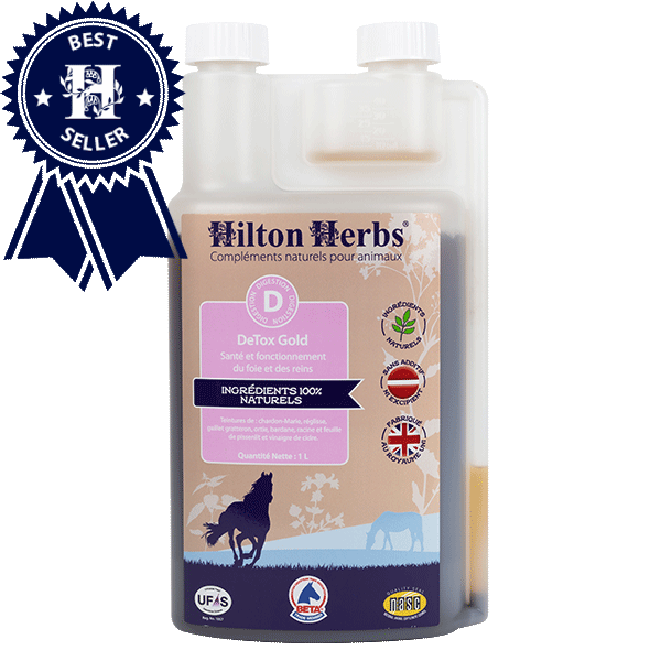 Detox Gold, 1L - Hilton Herbs