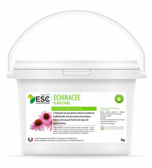 Echinacee - Défenses immunitaires cheval - ESC Laboratoire