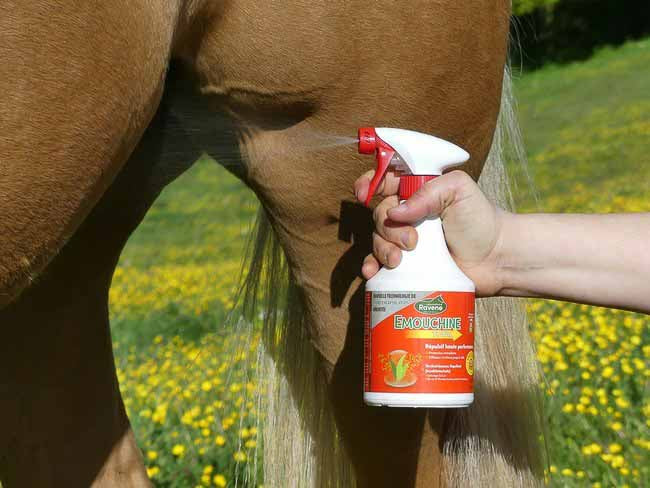 Émouchine Totale - Ravene