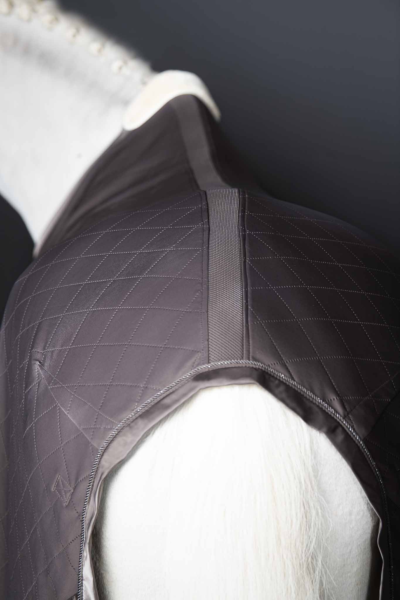 Sweat rug Aerial-Jersey, Fossil - Eskadron Classic 2022