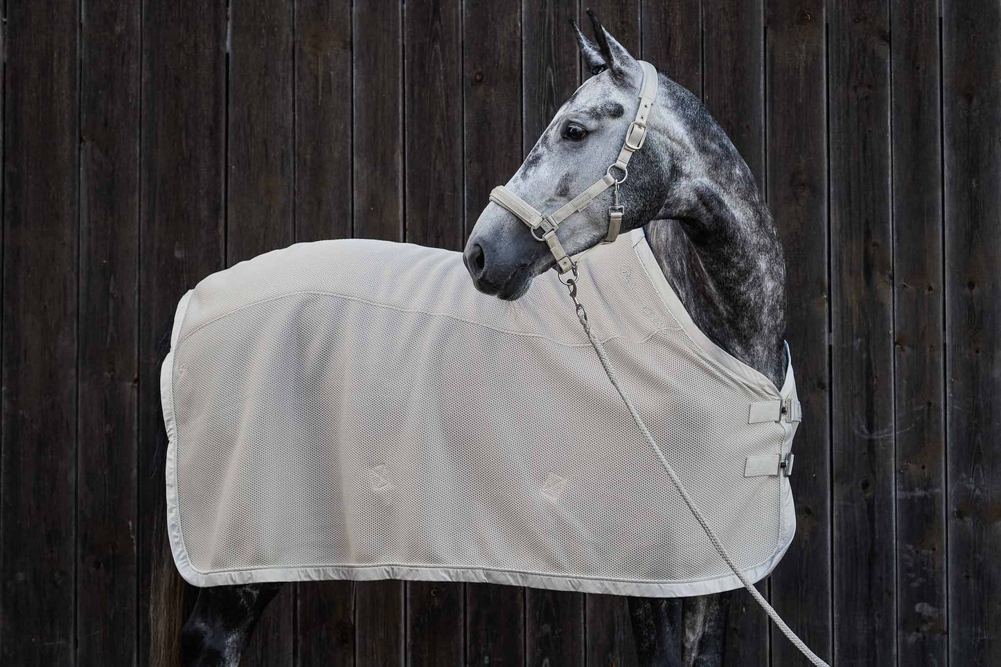 Sweatshirtdecke Mesh, Perlgrau - Eskadron Platinum 22/23