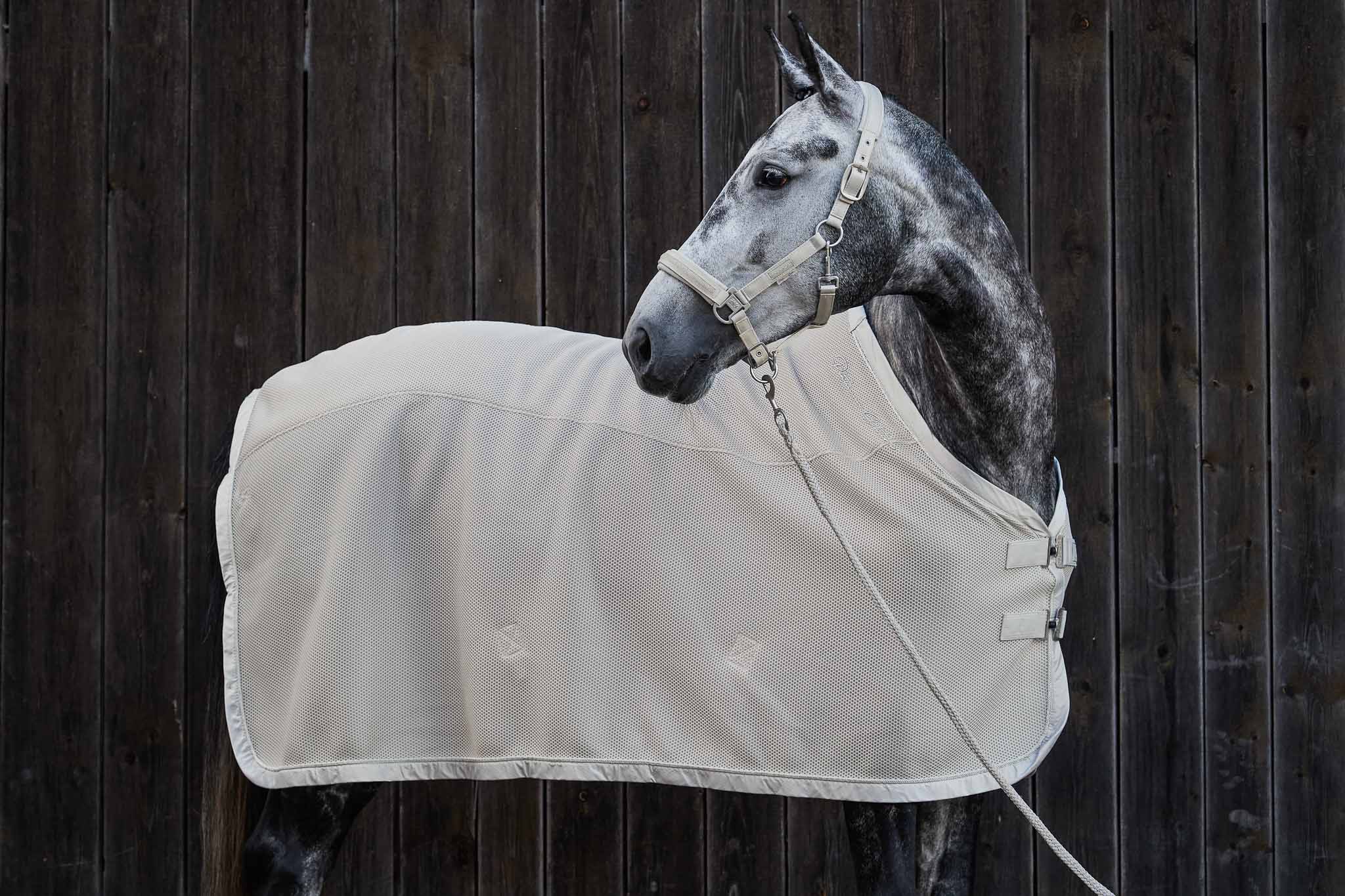 Sweat rug Mesh, Pearlgrey - Eskadron Platinum 22/23