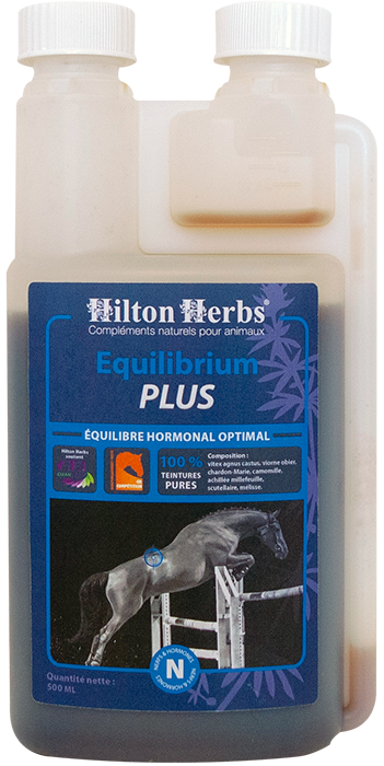 Equilibrium Plus, 500 ml - Hilton Kräuter