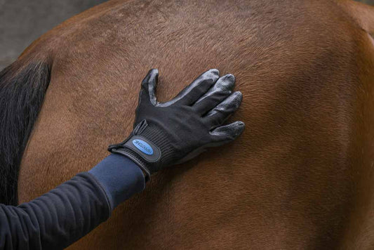 Grooming glove - Hippotonic