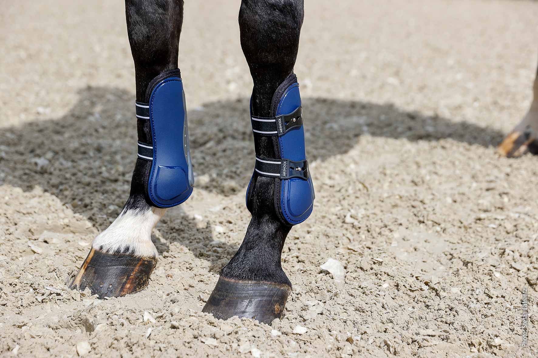 Guêtres Air Shock, night - Schockemöhle