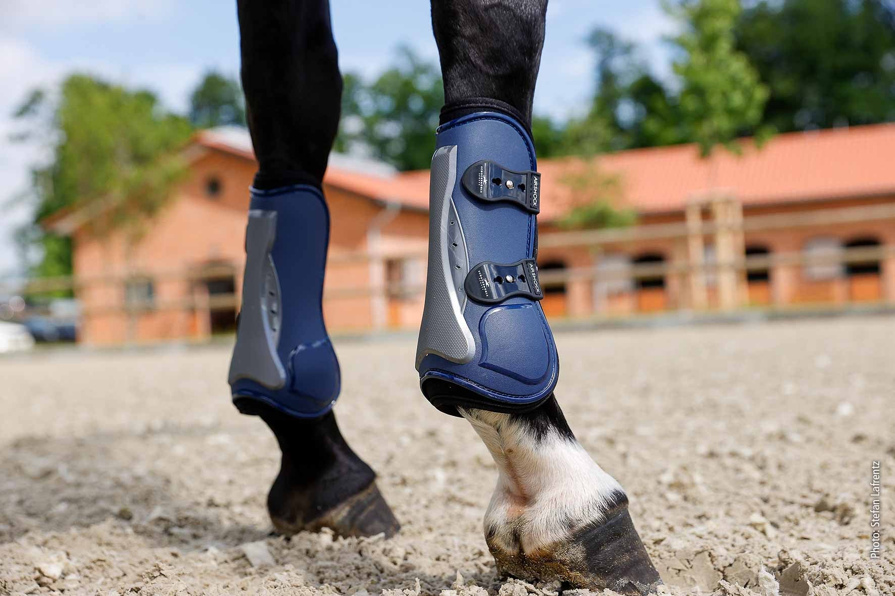 Guêtres Air Shock, night - Schockemöhle