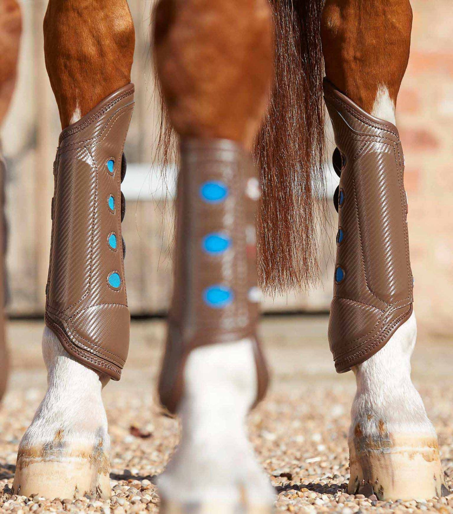 Guêtres de cross Carbon Tech Air Cooled , Postérieurs - Premier Equine