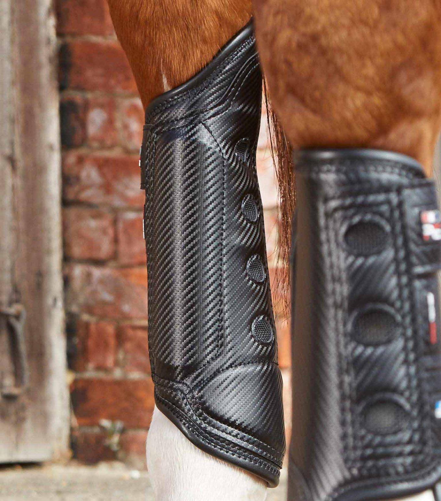 Guêtres de cross Carbon Tech Air Cooled , Postérieurs - Premier Equine