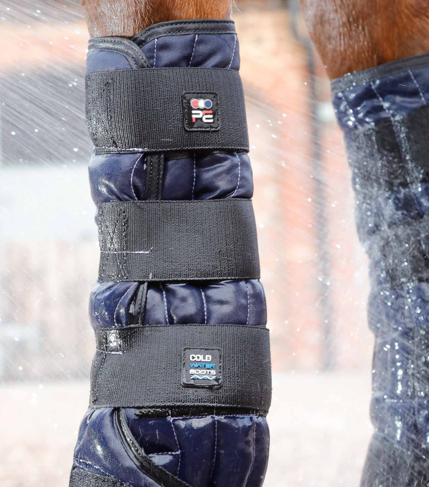 Guêtres Cold Water - Premier Equine
