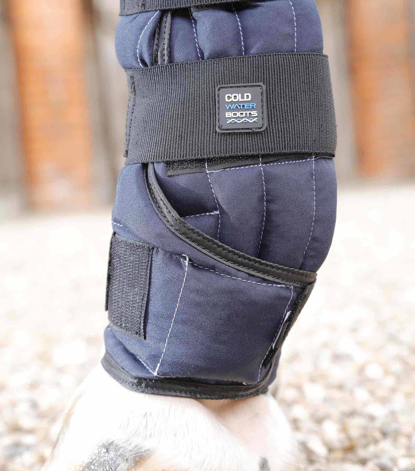 Guêtres Cold Water - Premier Equine