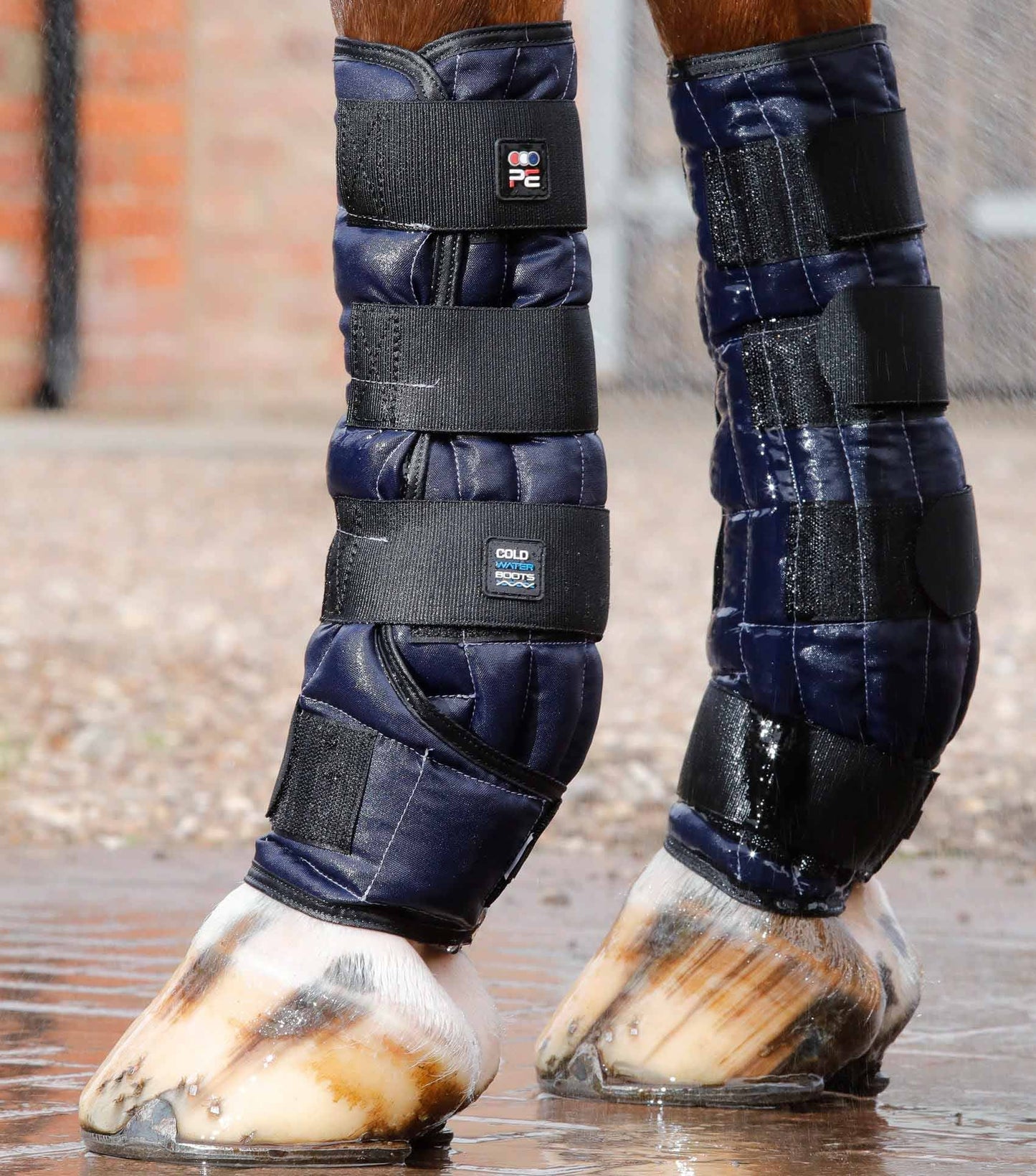 Guêtres Cold Water - Premier Equine