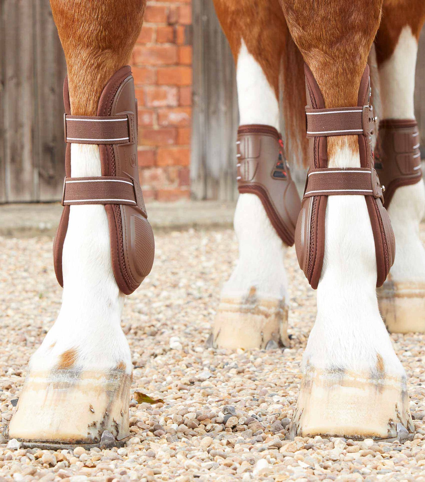 Guêtres Kevlar Airtechnology, marron - Premier equine