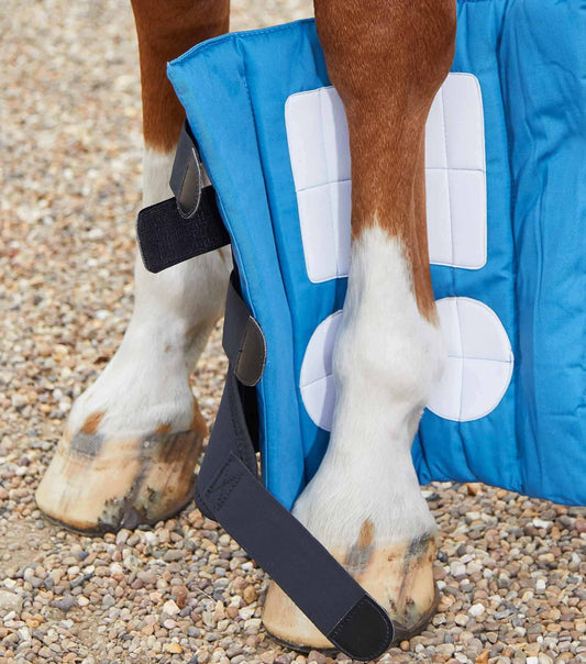 Guêtres magnétiques cheval - Premier Equine