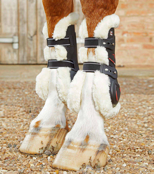 Techno wool gaiters, black - Premier equine