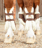 Guêtres Techno wool, marron - Premier equine