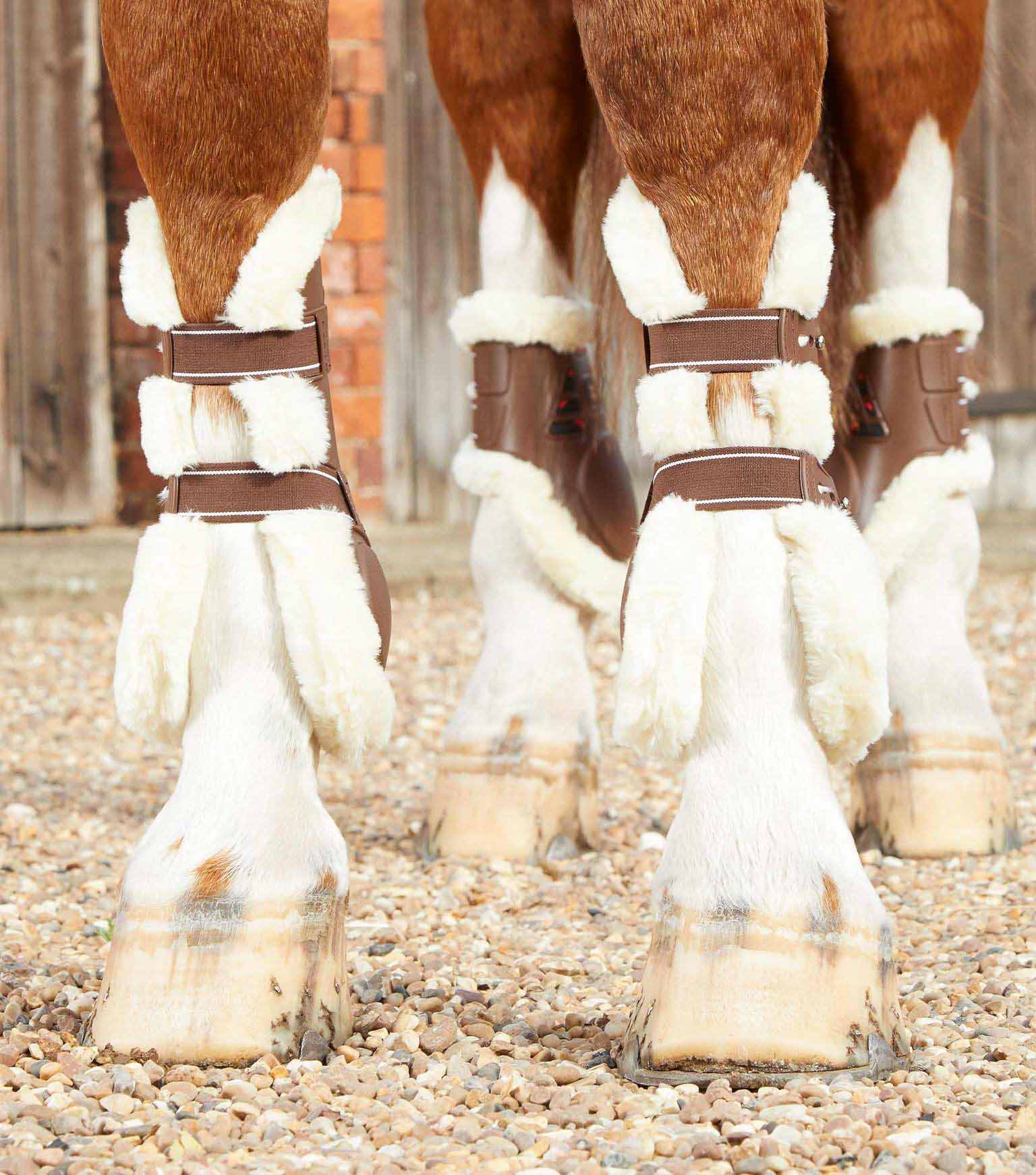 Guêtres Techno wool, marron - Premier equine