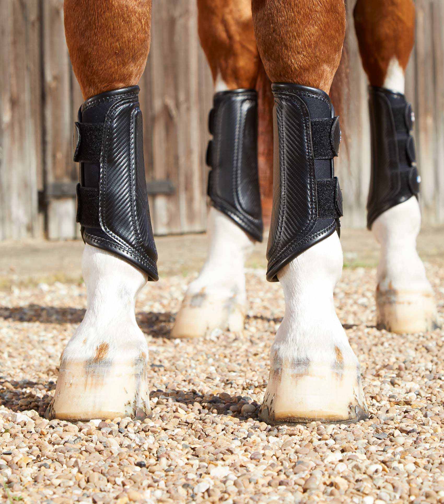Carbon Air-Tech Double Dressurgamaschen - Premier Equine