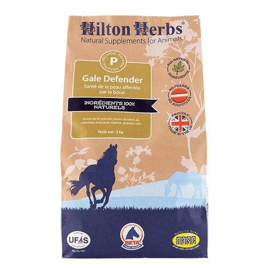 Gale Defender, Mud Scabies, 2kg - Hilton Herbs