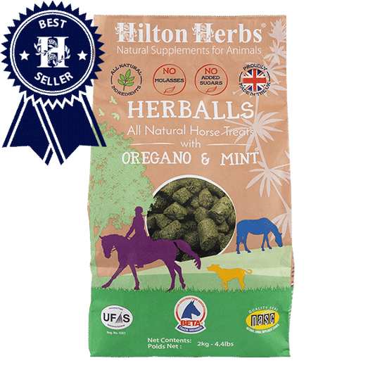 Herballs, natural treats 2kg - Hilton Herbs 