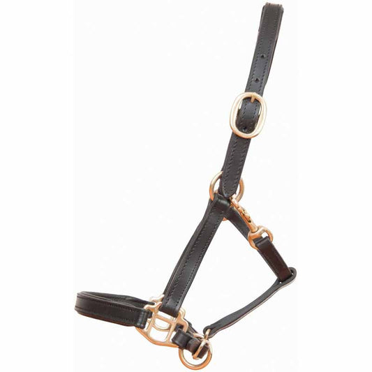 Foal leather halter - TDET