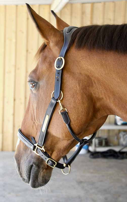 Leather halter with anatomic headpiece, Tobacco - TDET