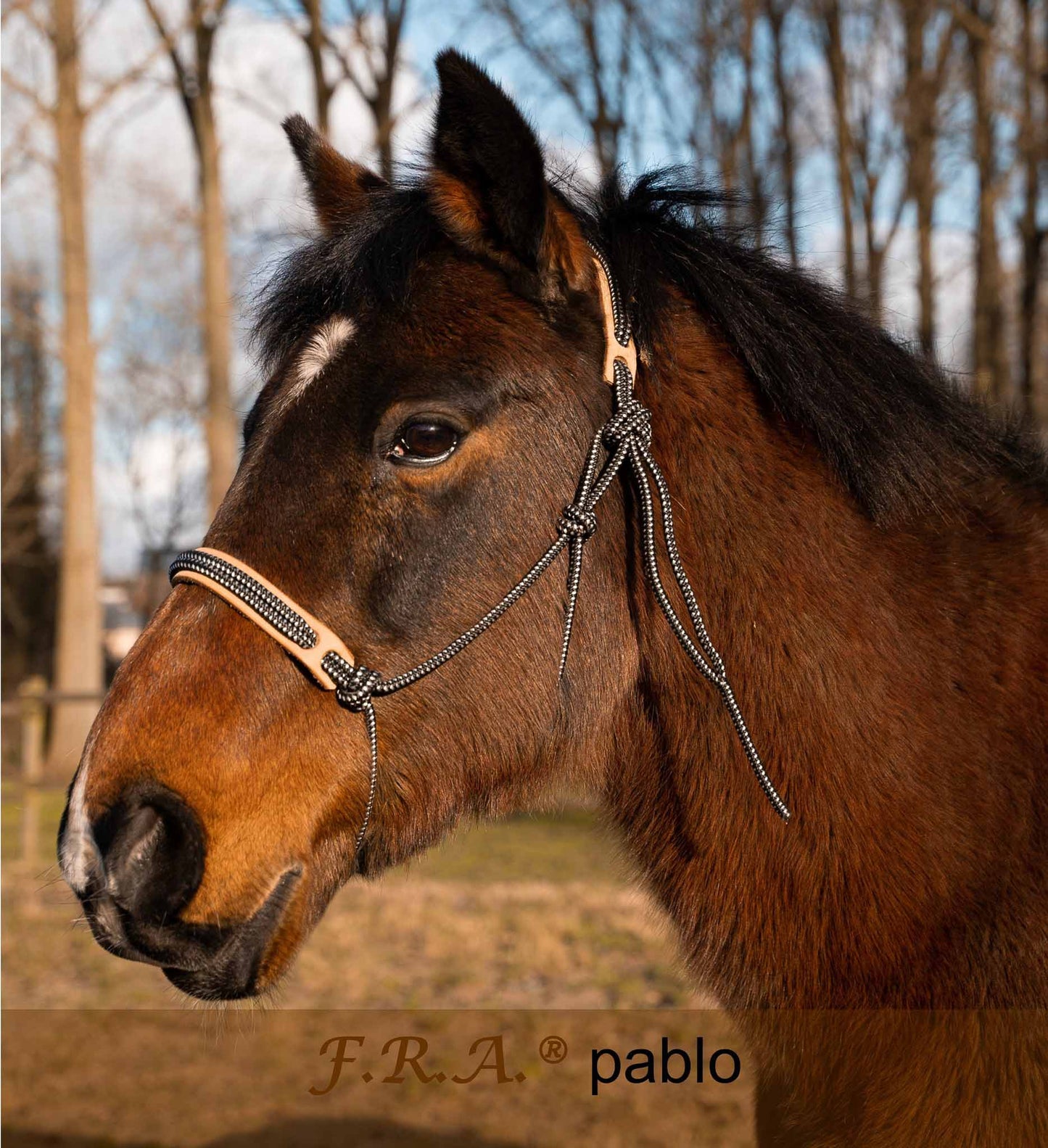 Licol éthologique Pabblo - F.R.A Freedom Riding Articles