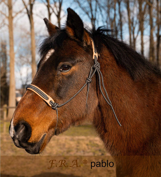 Pabblo Ethological Headcollar - ENG Freedom Riding Articles